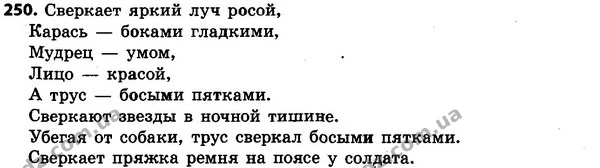 250 — ГДЗ Русский язык 4 класс Сильнова, Каневская 2015