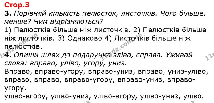 3. Порівняй кількість пелюсток, листочків. Чого більше, менше? Чим відрізняються? — ГДЗ Математика 1 клас Лишенко 2018