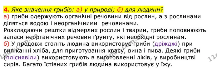 4. Яке значення грибів: а) у природі; б) для людини? — ГДЗ Природознавство 5 клас Коршевнюк