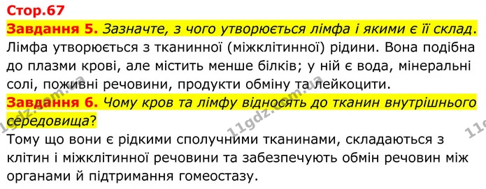 Стор. 67 — 5-6 — ГДЗ Робочий зошит біологія 8 клас Мирна — ГДЗ Робочий зошит біологія 8 клас Мирна