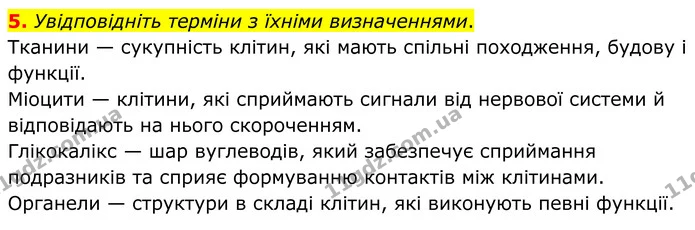1. Визначте поняття. — частина 5 — ГДЗ Робочий зошит Біологія 8 клас Тагліна (2025)