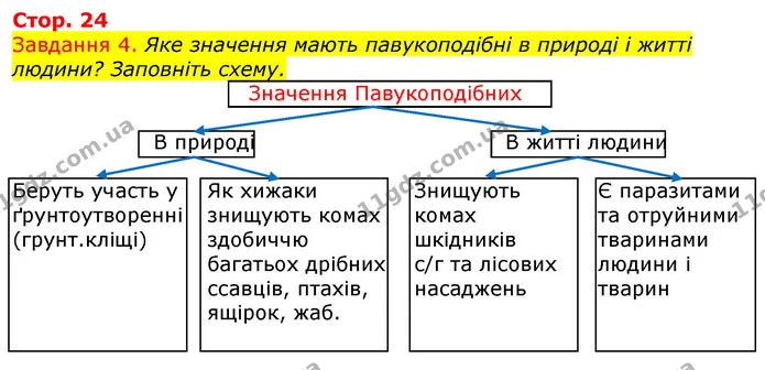 Стор. 24 — 4 — ГДЗ Робочий зошит з Біології 7 клас Яременко — ГДЗ Робочий зошит з Біології 7 клас Яременко