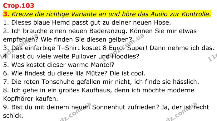 3. Kreuze die richtige Variante an und höre das Audio zur Kontrolle. — ГДЗ Німецька мова 8 клас Сотникова (2025) 4 рік