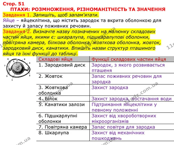 Стор. 51 — 1-2 — ГДЗ Робочий зошит з Біології 7 клас Яременко — ГДЗ Робочий зошит з Біології 7 клас Яременко