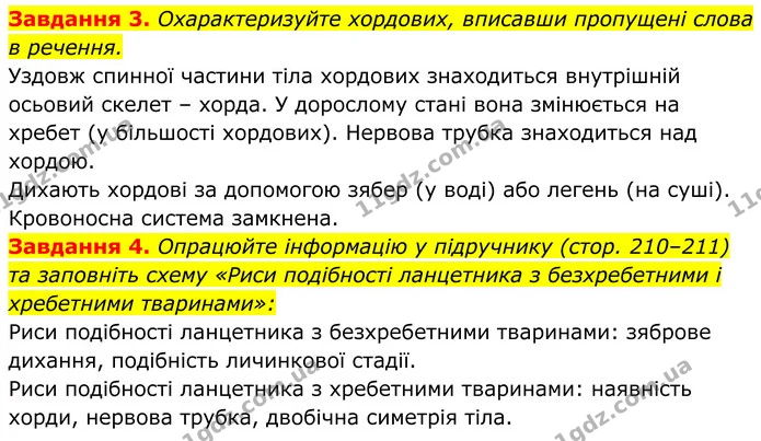 3. Охарактеризуйте хордових, вписавши пропущені слова в речення. — ГДЗ Робочий зошит Біологія 7 клас Мирна 2024