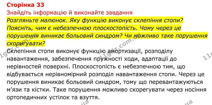Стор. 33 — 1 — ГДЗ Біологія 8 клас Тагліна — ГДЗ Біологія 8 клас Тагліна