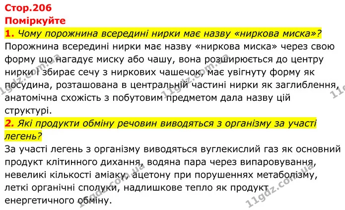 1. Чому порожнина всередині нирки має назву «ниркова миска»? — ГДЗ Біологія 8 клас Балан