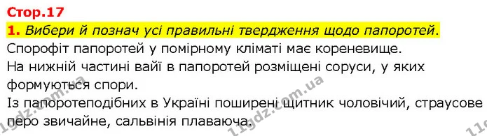 1. Вибери й познач усі правильні твердження щодо папоротей. — ГДЗ робочий зошит Біологія 7 клас Тагліна