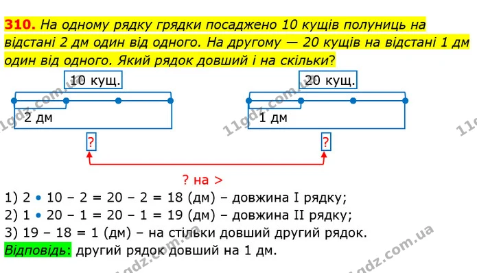 310. На одному рядку грядки посаджено 10 кущів полуниць на відстані 2 дм один від одного. На другому — 20 кущів на відстані 1 дм один — ГДЗ Математика 4 клас Заїка