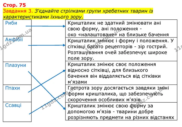 Стор. 75 — 3 — ГДЗ Робочий зошит з Біології 7 клас Яременко — ГДЗ Робочий зошит з Біології 7 клас Яременко