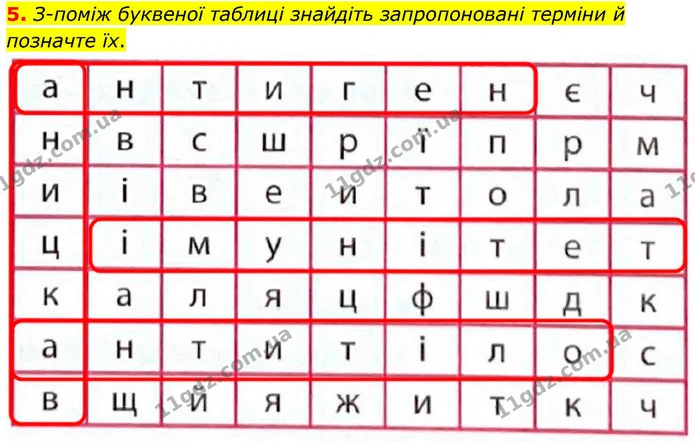 1. Прочитайте твердження. Оберіть правильну відповідь. — частина 5 — ГДЗ Робочий зошит Біологія 8 клас Тагліна (2025)