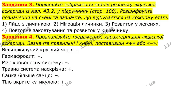 3. Порівняйте зображення етапів розвитку людської аскариди із мал. 43.2. у підручнику (стор. 180). Розшифруйте позначення на схемі та — ГДЗ Робочий зошит Біологія 7 клас Мирна 2024