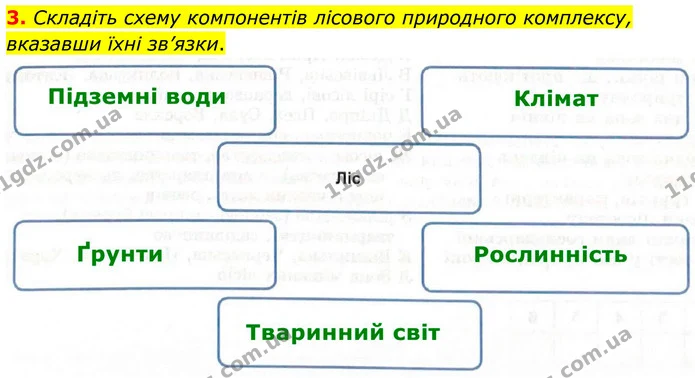 3. Складіть схему компонентів лісового природного комплексу, вказавши їхні зв’язки. — ГДЗ Зошит практичні Географія 8 клас Гільберг