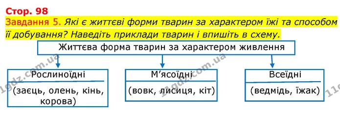 Стор. 98 — 5 — ГДЗ Робочий зошит з Біології 7 клас Яременко — ГДЗ Робочий зошит з Біології 7 клас Яременко