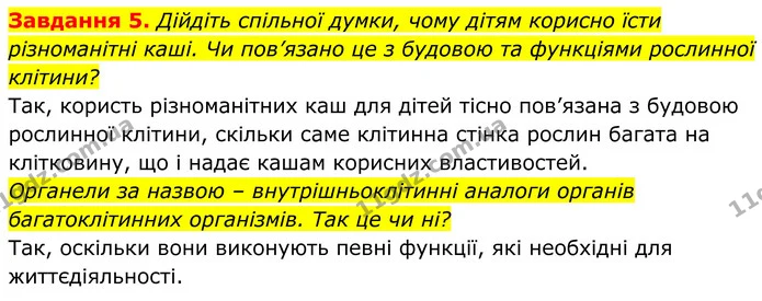 5. Дійдіть спільної думки, чому дітям корисно їсти різноманітні каші. Чи пов’язано це з будовою та функціями рослинної клітини? — ГДЗ Робочий зошит Біологія 7 клас Мирна 2024