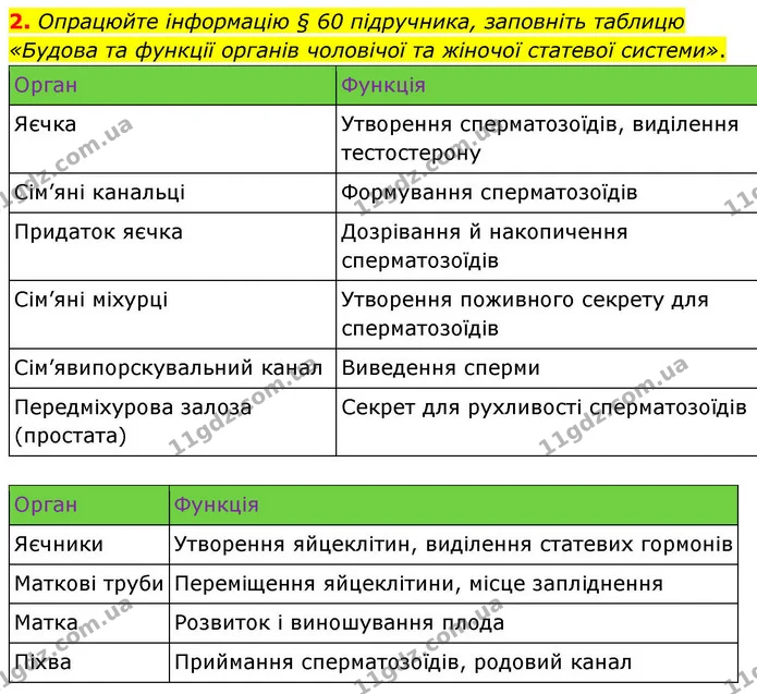 2. Опрацюйте інформацію § 60 підручника, заповніть таблицю «Будова та функції органів чоловічої та жіночої статевої системи». — ГДЗ Робочий зошит Біологія 8 клас Кулініч