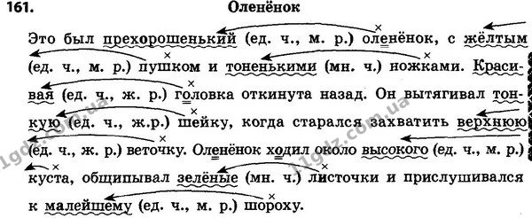 161 — ГДЗ Русский язык 4 класс Сильнова, Каневская 2015