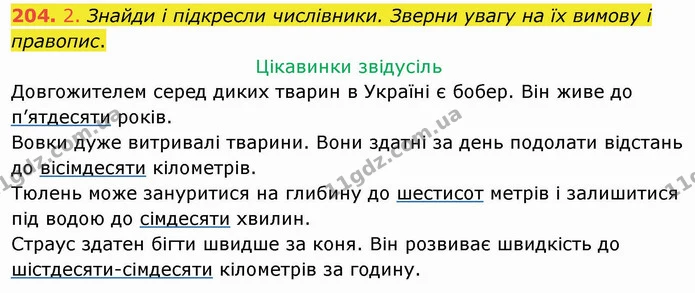 204. 2. Знайди і підкресли числівники. Зверни увагу на їх вимову і правопис. — ГДЗ Українська мова та читання 4 клас Коваленко