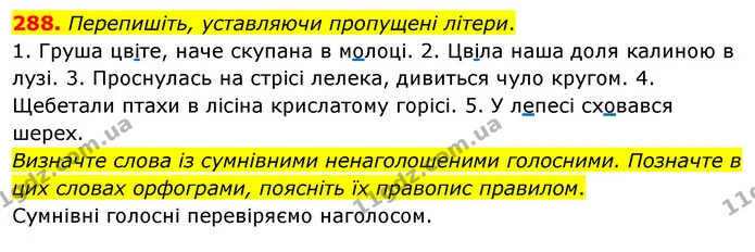 288. Перепишіть, уставляючи пропущені літери. — ГДЗ Українська мова 5 клас Глазова 2022