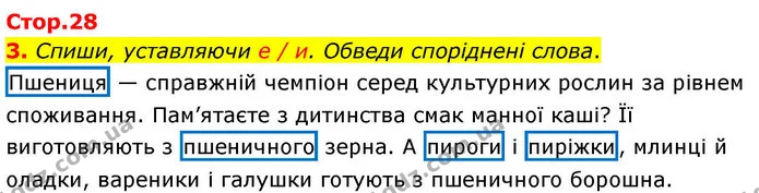 3. Спиши, уставляючи е / и. Обведи споріднені слова. — ГДЗ Робочий зошит Українська мова 4 клас Большакова