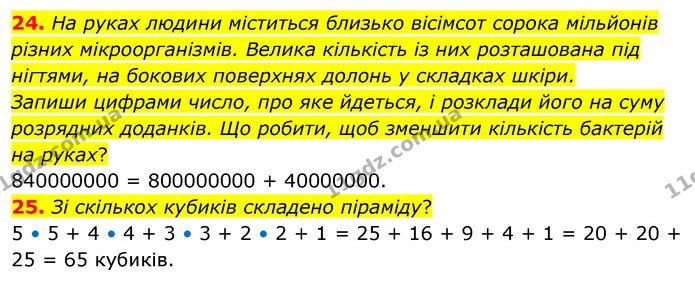 24. На руках людини міститься близько вісімсот сорока мільйонів різних мікроорганізмів. Велика кількість із них розташована під — ГДЗ Математика 5 клас Бевз