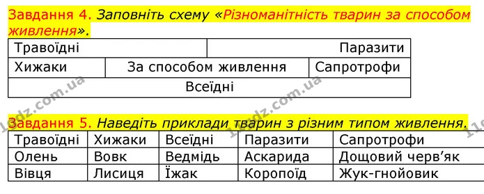 Стор. 4 — 4-5 — ГДЗ Робочий зошит з Біології 7 клас Яременко — ГДЗ Робочий зошит з Біології 7 клас Яременко