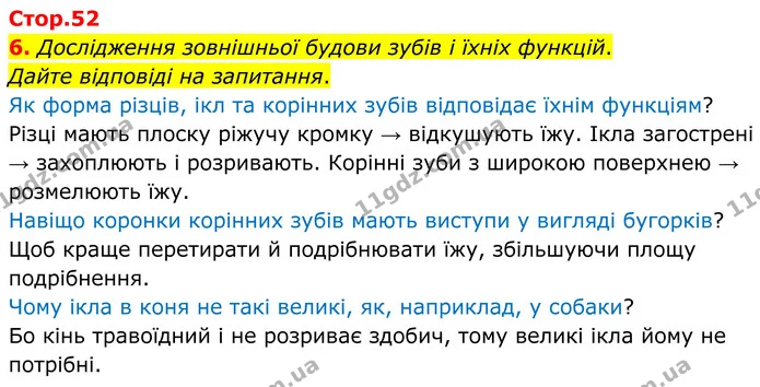 1. Позначте й підпишіть ті компоненти травної системи, які ви знаєте. — частина 6 — ГДЗ Робочий зошит Біологія 8 клас Тагліна (2025)