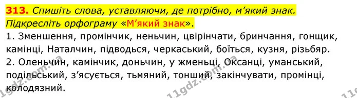 313. Спишіть слова, уставляючи, де потрібно, м’який знак. Підкресліть орфограму «М’який знак». — ГДЗ Українська мова 5 клас Заболотний 2022