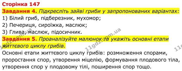 4. Підкресліть зайві гриби у запропонованих варіантах: — ГДЗ Робочий зошит Біологія 7 клас Мирна 2024