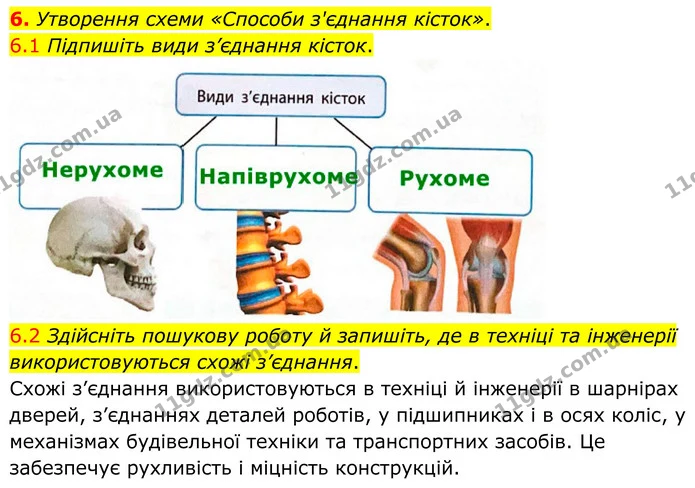 1. Складіть тлумачення понять із запропонованих слів і запишіть їх. — частина 6 — ГДЗ Робочий зошит Біологія 8 клас Тагліна (2025)