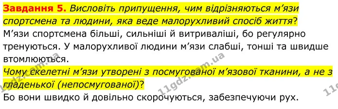 Стор. 44 — 5 (2) — ГДЗ Робочий зошит біологія 8 клас Мирна — ГДЗ Робочий зошит біологія 8 клас Мирна