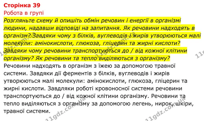 Стор. 39 — 1 — ГДЗ Біологія 8 клас Тагліна — ГДЗ Біологія 8 клас Тагліна