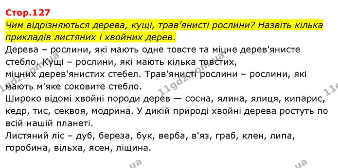 Чим відрізняються дерева, кущі, трав’янисті рослини? Назвіть кілька прикладів листяних і хвойних дерев. — ГДЗ Я досліджую світ 3 клас Гільберг 1-2 ч.