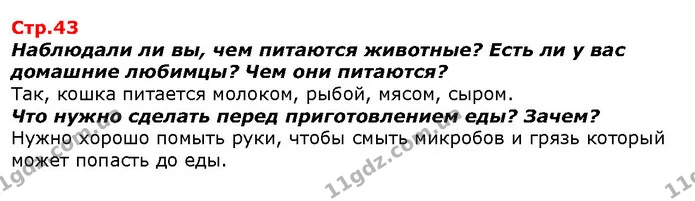 Наблюдали ли вы, чем питаются животные? Есть ли у вас домашние любимцы? Чем они питаются? — ГДЗ Я исследую мир 1 класс Гильберг