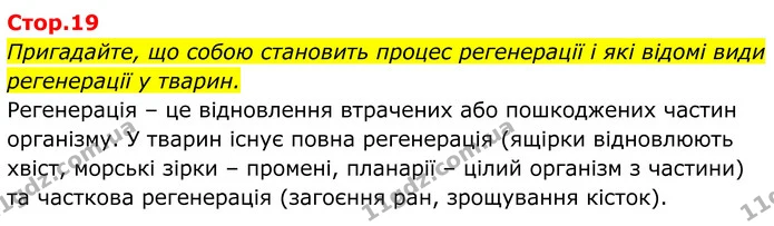 Стор. 19 — 0 — ГДЗ Біологія 8 клас Балан — ГДЗ Біологія 8 клас Балан
