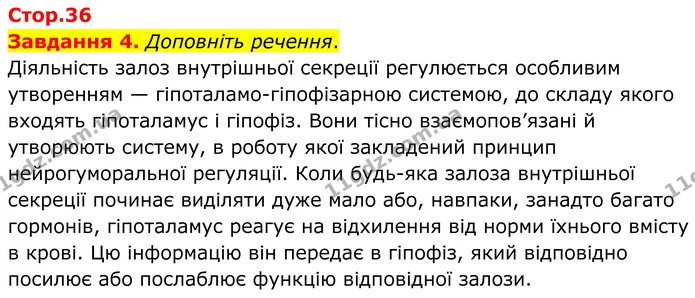 Стор. 36 — 4 — ГДЗ Робочий зошит біологія 8 клас Мирна — ГДЗ Робочий зошит біологія 8 клас Мирна
