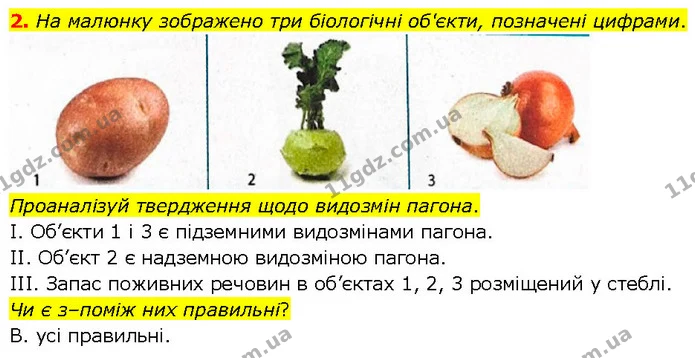 2. На малюнку зображено три біологічні об'єкти, позначені цифрами. — ГДЗ робочий зошит Біологія 7 клас Тагліна