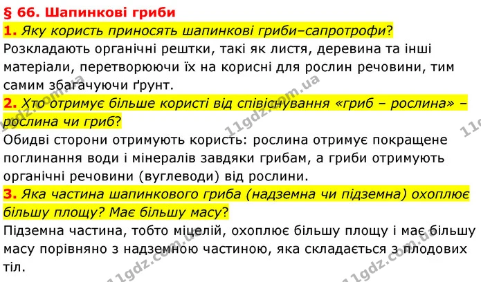 1. Яку користь приносять шапинкові гриби–сапротрофи? — ГДЗ Біологія 7 клас Балан