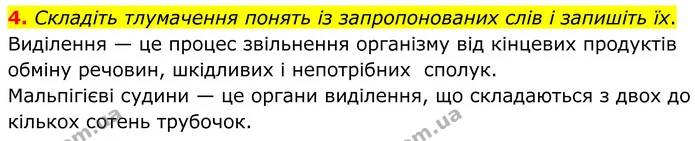 1. Прочитайте твердження. Оберіть правильну відповідь. — частина 4 — ГДЗ Робочий зошит Біологія 8 клас Тагліна (2025)