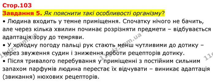 Стор. 103 — 5 — ГДЗ Робочий зошит біологія 8 клас Мирна — ГДЗ Робочий зошит біологія 8 клас Мирна