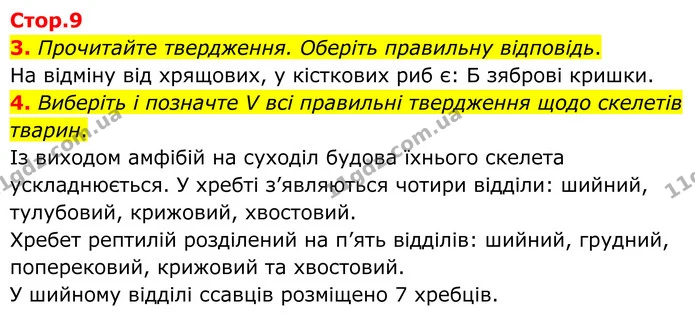 1. На малюнку зображено чотири біологічні об'єкти, позначені цифрами. — частина 3 — ГДЗ Робочий зошит Біологія 8 клас Тагліна (2025)