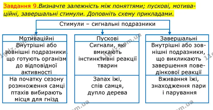 Стор. 84 — 9 — ГДЗ Робочий зошит з Біології 7 клас Яременко — ГДЗ Робочий зошит з Біології 7 клас Яременко