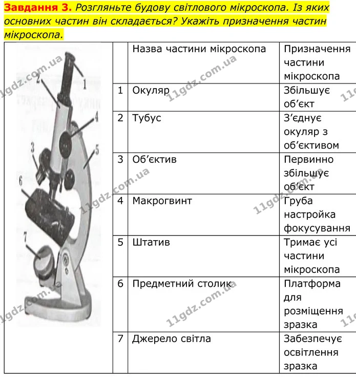 3. Розгляньте будову світлового мікроскопа. Із яких основних частин він складається? Укажіть призначення частин мікроскопа. — ГДЗ Робочий зошит Біологія 7 клас Мирна 2024