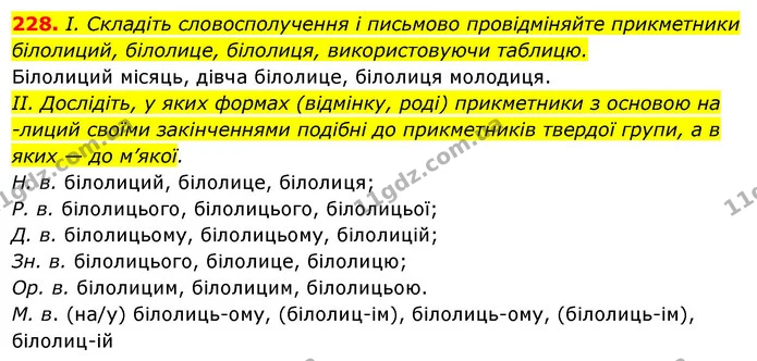 228. І. Складіть словосполучення і письмово провідміняйте прикметники — ГДЗ Українська мова 6 клас Ворон, Солопенко