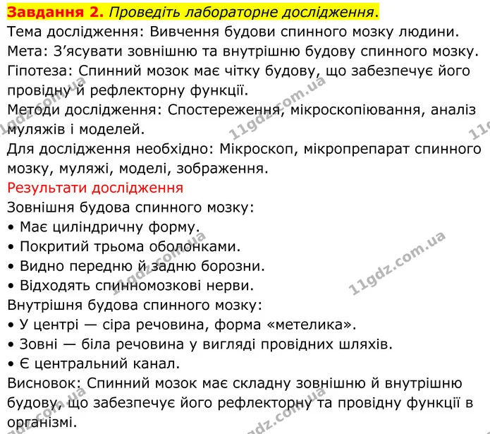 Стор. 19 — 2 — ГДЗ Робочий зошит біологія 8 клас Мирна — ГДЗ Робочий зошит біологія 8 клас Мирна