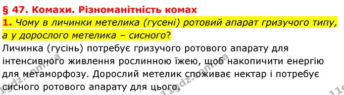 1. Чому в личинки метелика (гусені) ротовий апарат гризучого типу, а у дорослого метелика – сисного? — ГДЗ Біологія 7 клас Балан