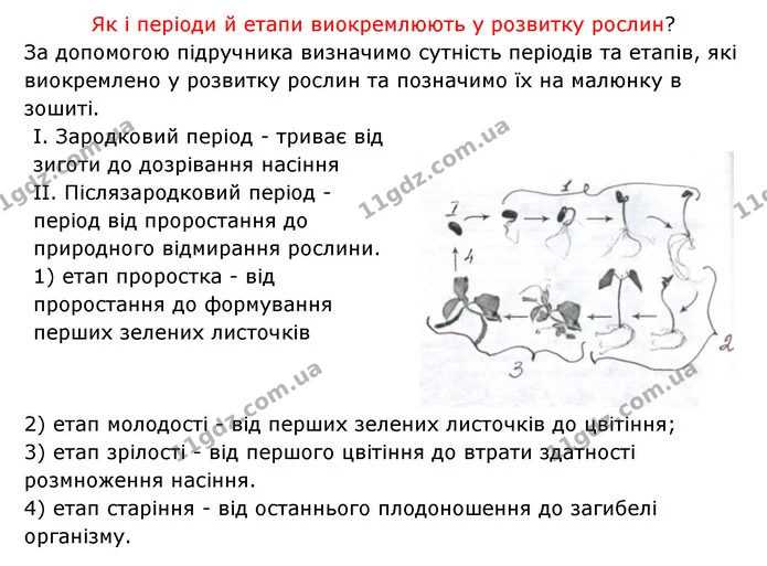 Стор. 64 — 2 — ГДЗ Робочий зошит Біологія 6 клас Соболь — ГДЗ Робочий зошит Біологія 6 клас Соболь