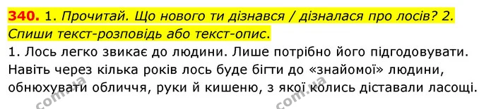 340. 1. Прочитай. Що нового ти дізнався / дізналася про лосів? 2. Спиши текст-розповідь або текст-опис. — ГДЗ Українська мова та читання 3 клас Кравцова (1 частина)