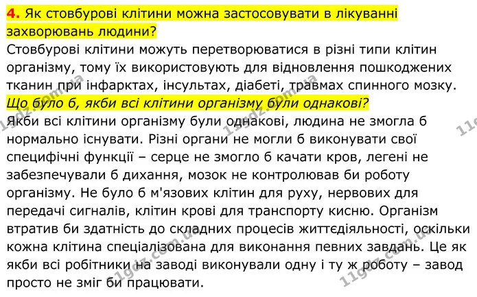 4. Як стовбурові клітини можна застосовувати в лікуванні захворювань людини? — ГДЗ Біологія 8 клас Балан