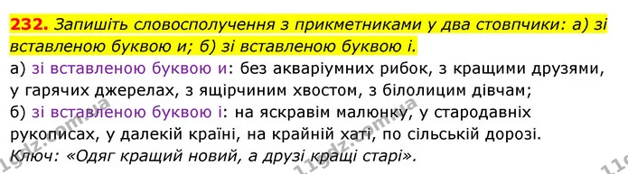 232. Запишіть словосполучення з прикметниками у два стовпчики: а) зі — ГДЗ Українська мова 6 клас Ворон, Солопенко